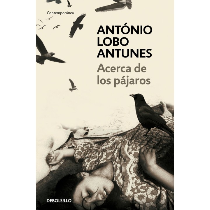ACERCA DE LOS PAJAROS DB