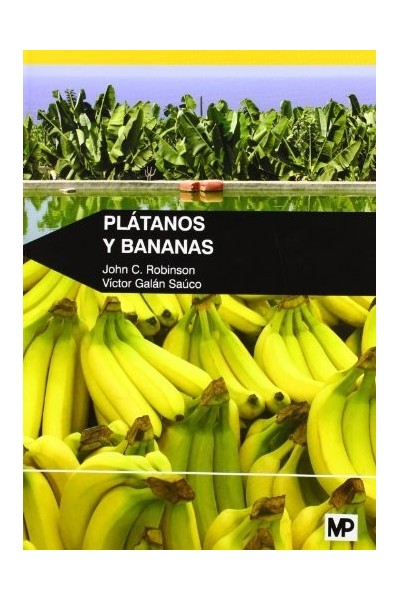PLATANOS Y BANANAS