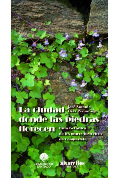 CIUDAD DONDE LAS PIEDRAS FLORECEN,LA
