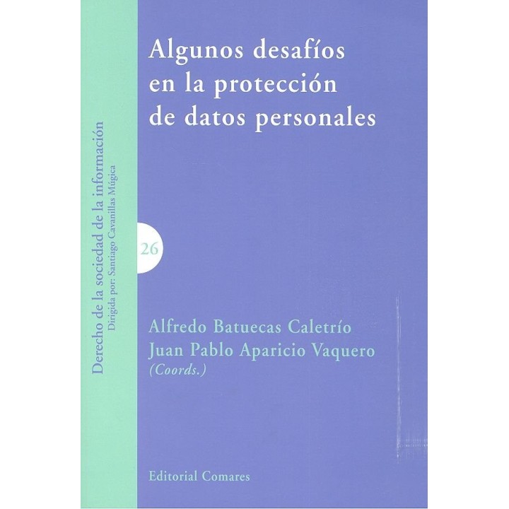 ALGUNOS DESAFIOS EN LA PROTECCION DE DATOS PERSONALES