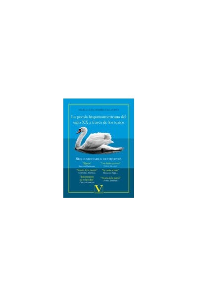 POESIA HISPANOAMERICANA DEL SIGLO XX A TRAVES DE LOS TEXTOS,