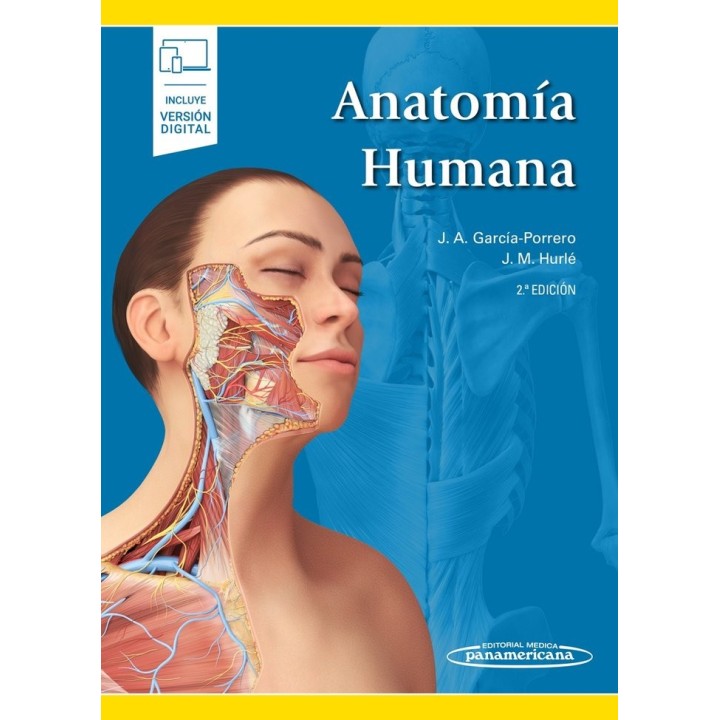 ANATOMIA HUMANA