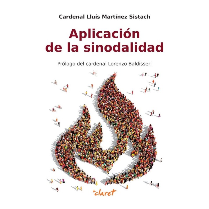 APLICACION DE LA SINODALIDAD
