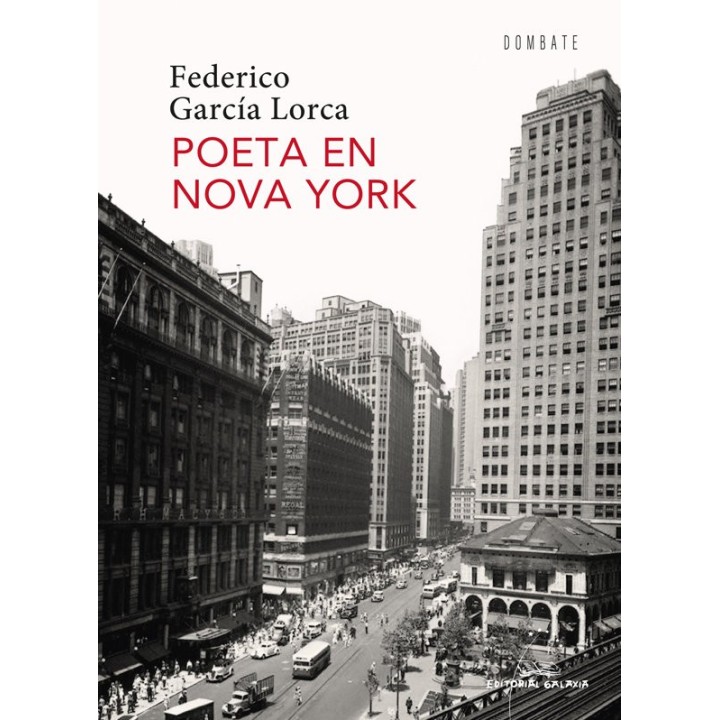 POETAS EN NOVA YORK