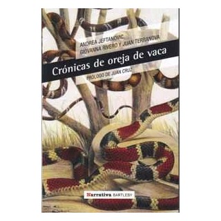 CRONICAS DE OREJA DE VACA