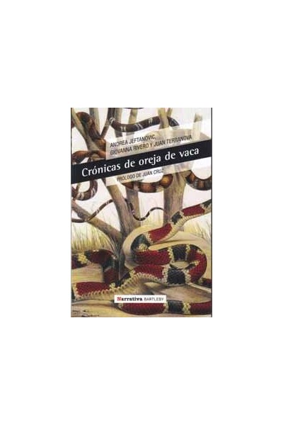 CRONICAS DE OREJA DE VACA