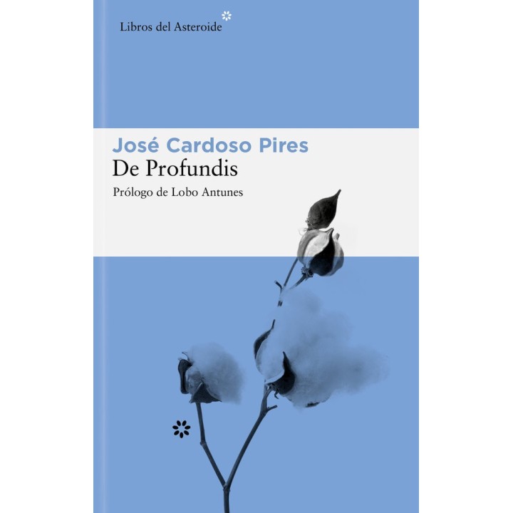 DE PROFUNDIS