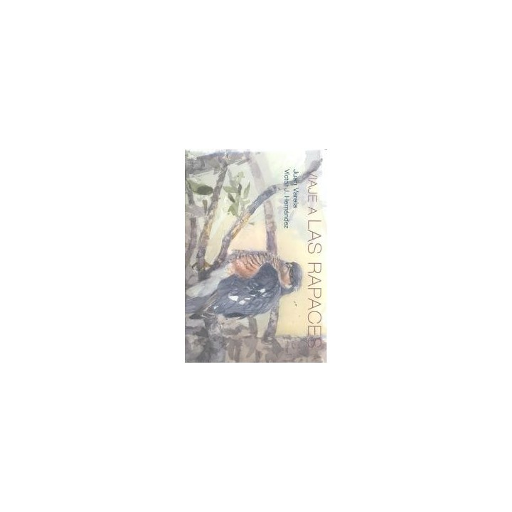 VIAJE A LAS RAPACES