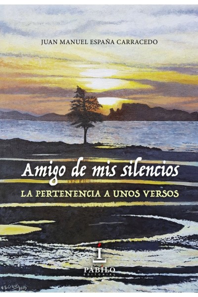 AMIGO DE MIS SILENCIOS
