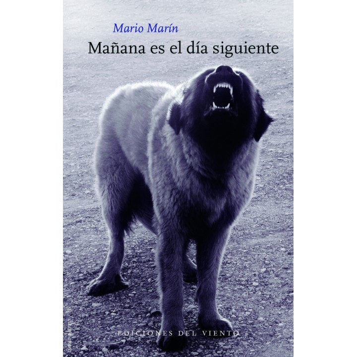 MAÑANA ES EL DIA SIGUIENTE