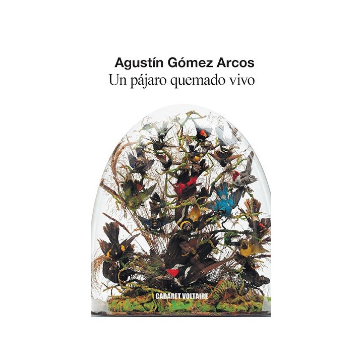 UN PAJARO QUEMADO VIVO