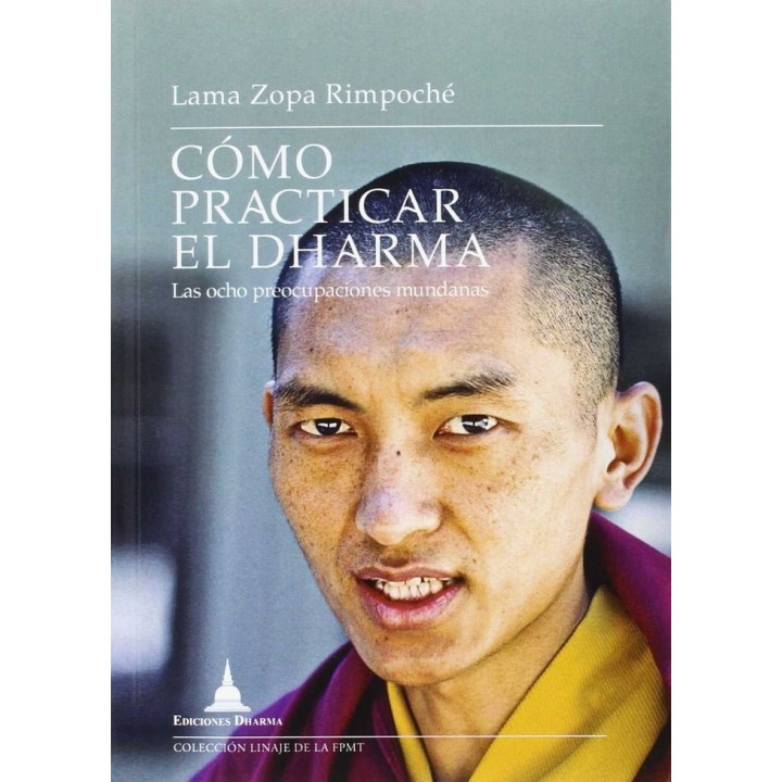 COMO PRACTICAR EL DHARMA LAS OCHO PREOCUPACIONES