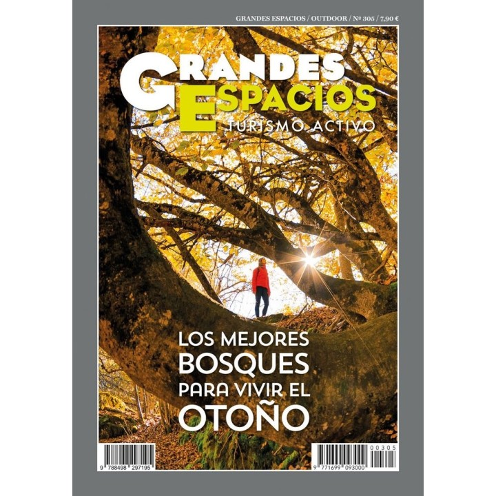 LOS MEJORES BOSQUES PARA VIVIR EL OTOÑO