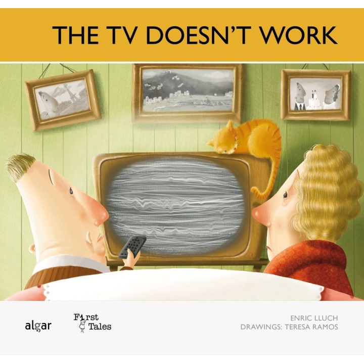 THE TV DOESNT WORK