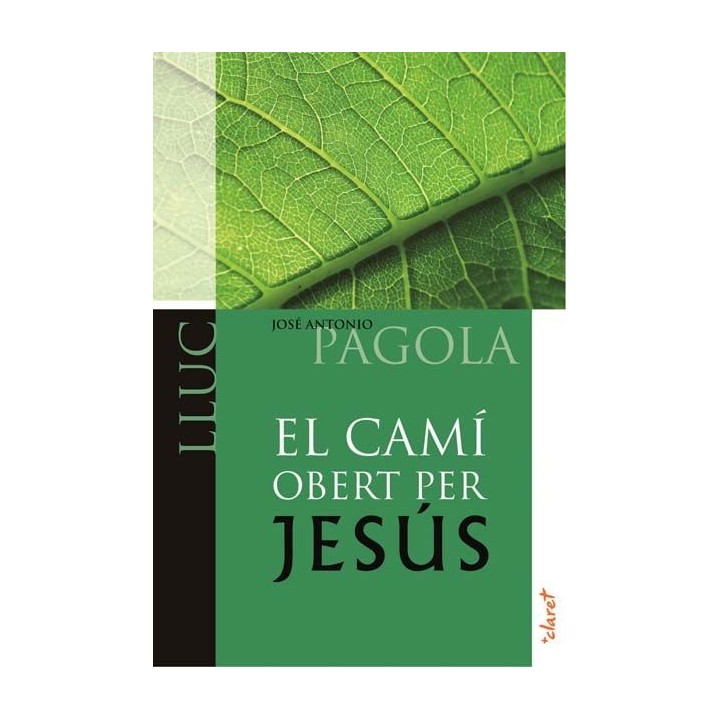 CAMI OBERT PER JESUS. LLUC,EL