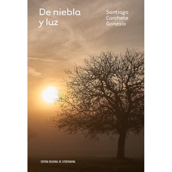 DE NIEBLA Y LUZ