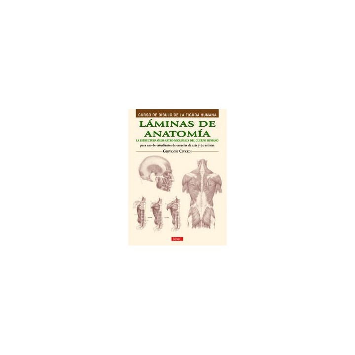 LAMINAS DE ANATOMIA