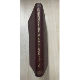 INSTITUCIONES INTERNACIONALES