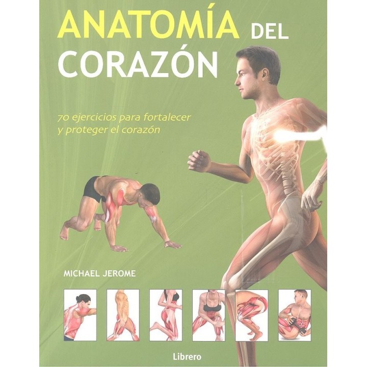ANATOMIA DEL CORAZON
