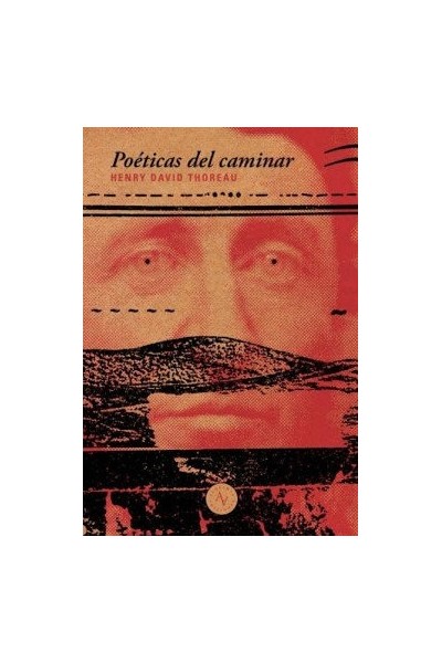 POETICAS DEL CAMINAR