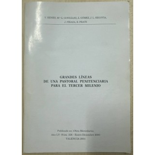 GRANDES LÍNEAS DE UNA PASTORAL PENITENCIARIA PARA EL TERCER MILENIO