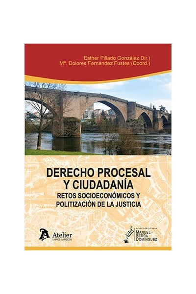 DERECHO PROCESAL Y CIUDADANIA RETOS SOCIOECONOMICOS Y POLIT