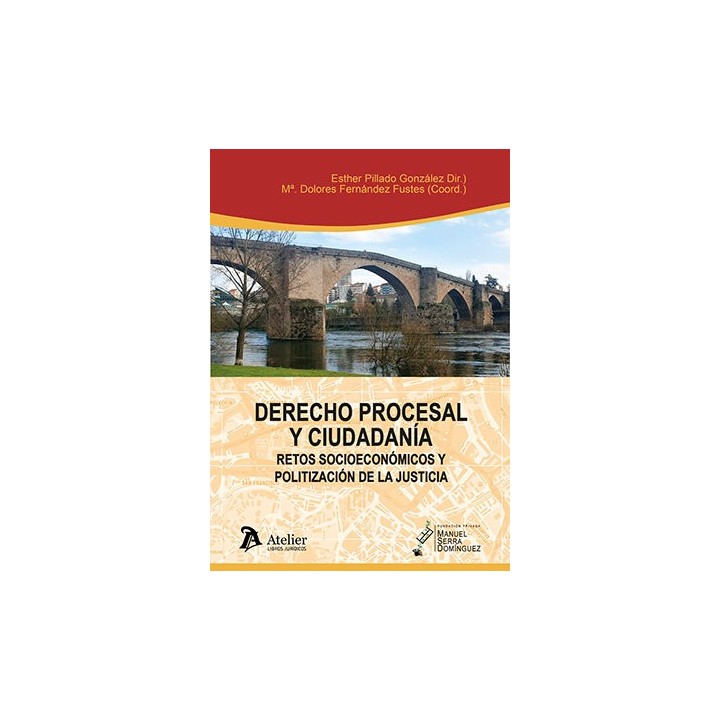 DERECHO PROCESAL Y CIUDADANIA RETOS SOCIOECONOMICOS Y POLIT