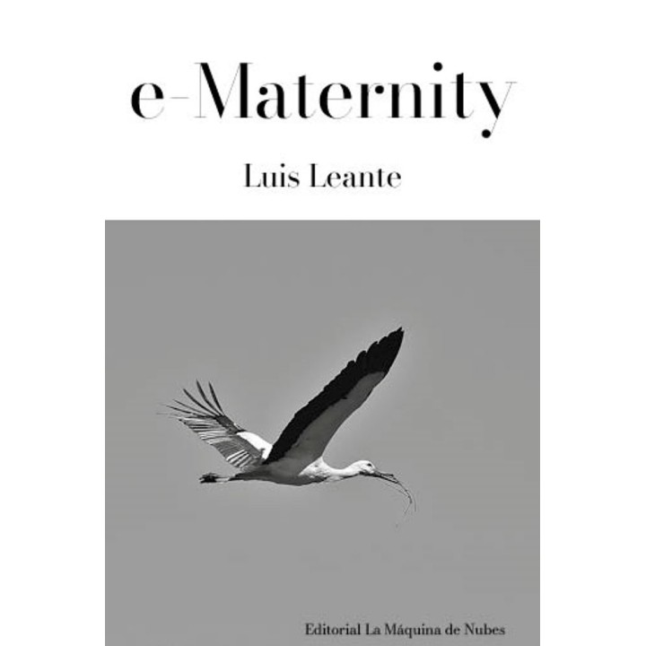 E-MATERNITY