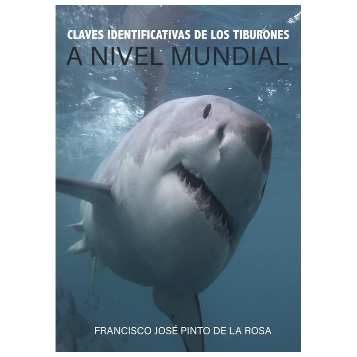 CLAVES IDENTIFICATIVAS DE LOS TIBURONES A NIVEL MUNDIAL