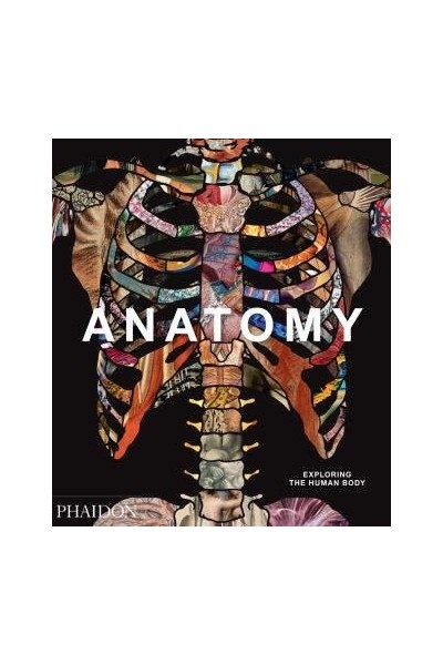ANATOMY EXPLORING THE HUMAN BODY