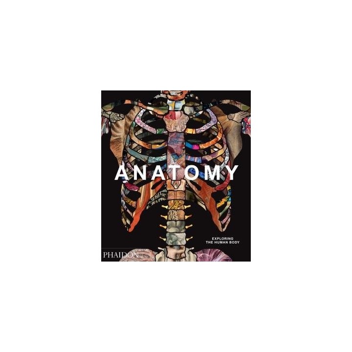 ANATOMY EXPLORING THE HUMAN BODY