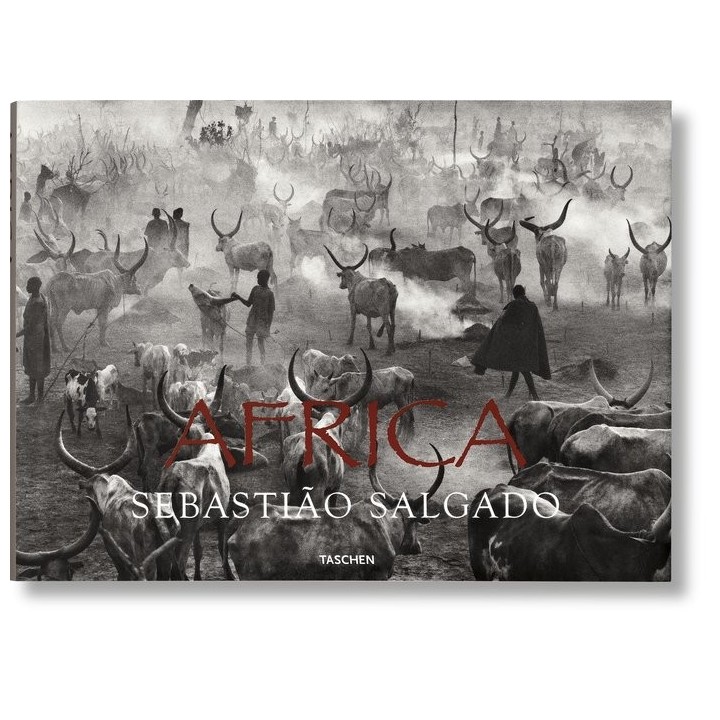 SALGADO AFRICA (IN/FR/AL)