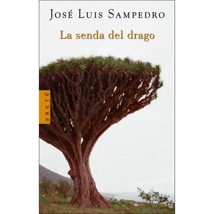 SENDA DEL DRAGO,LA