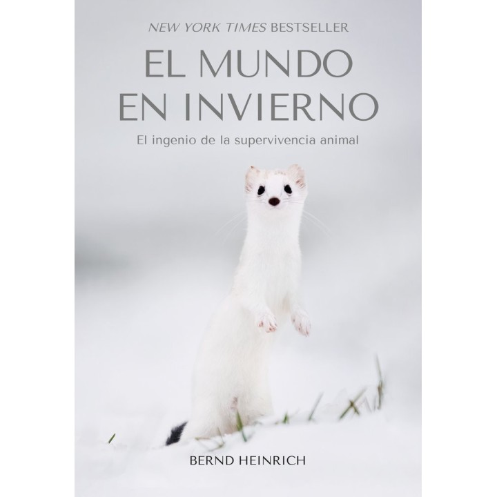 EL MUNDO EN INVIERNO