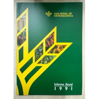 INFORME ANUAL 1991