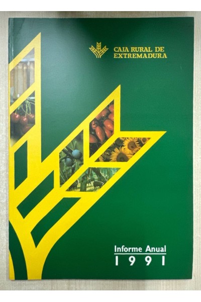 INFORME ANUAL 1991