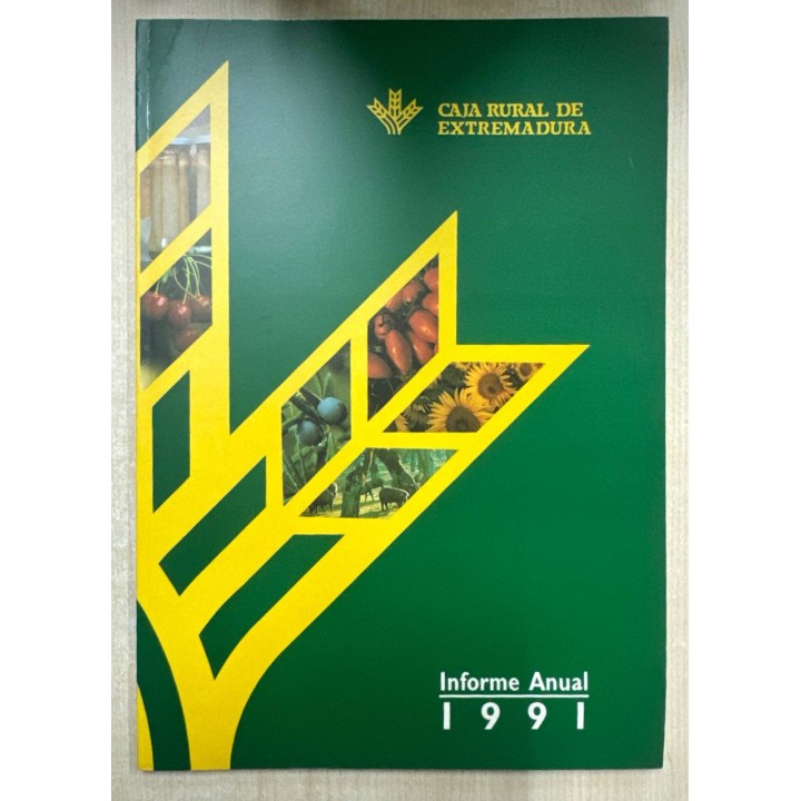 INFORME ANUAL 1991