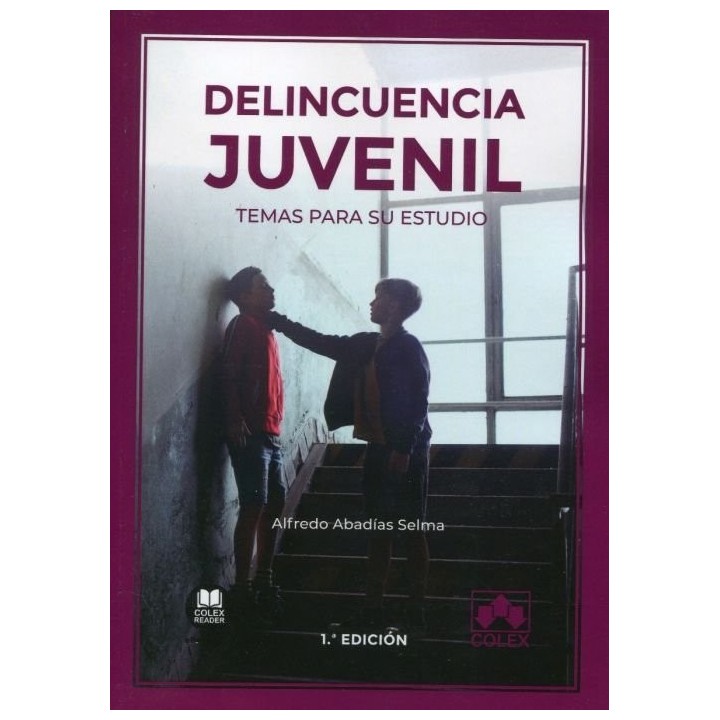 DELINCUENCIA JUVENIL: TEMAS PARA SU ESTUDIO