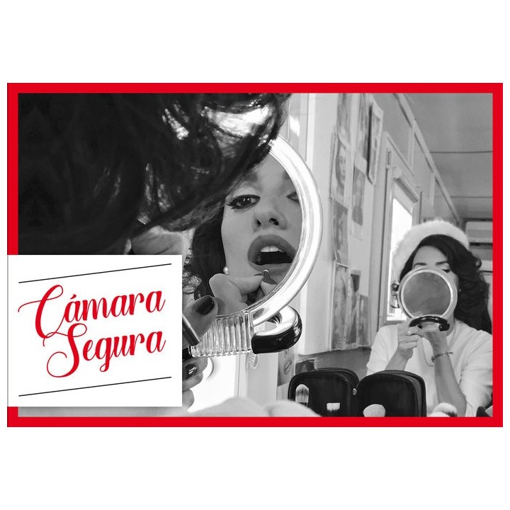 CAMARA SEGURA