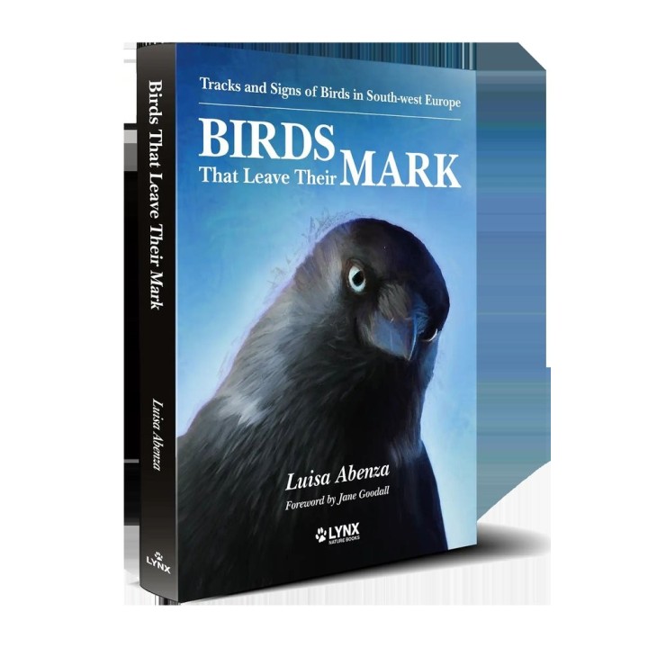 BIRDS THAT LEAVE THEIR MARK