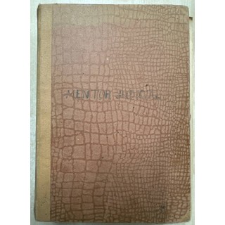 MENTOR JUDICIAL GUIA TEORICO - PRACTICA.