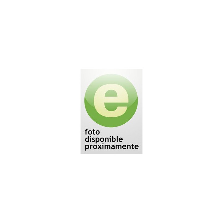 CONVERSACIONES CON POETAS ESPAÑOLES CONTEMPORANEOS