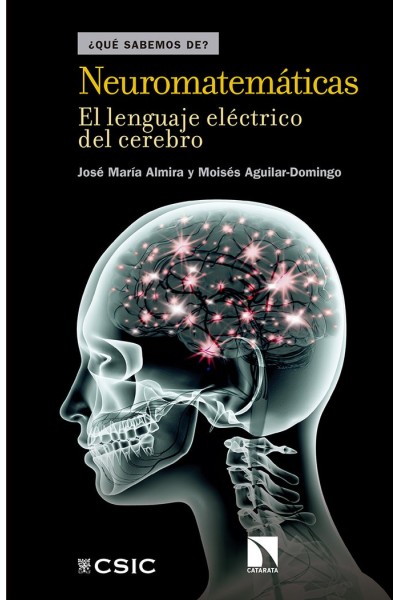 NEUROMATEMATICAS
