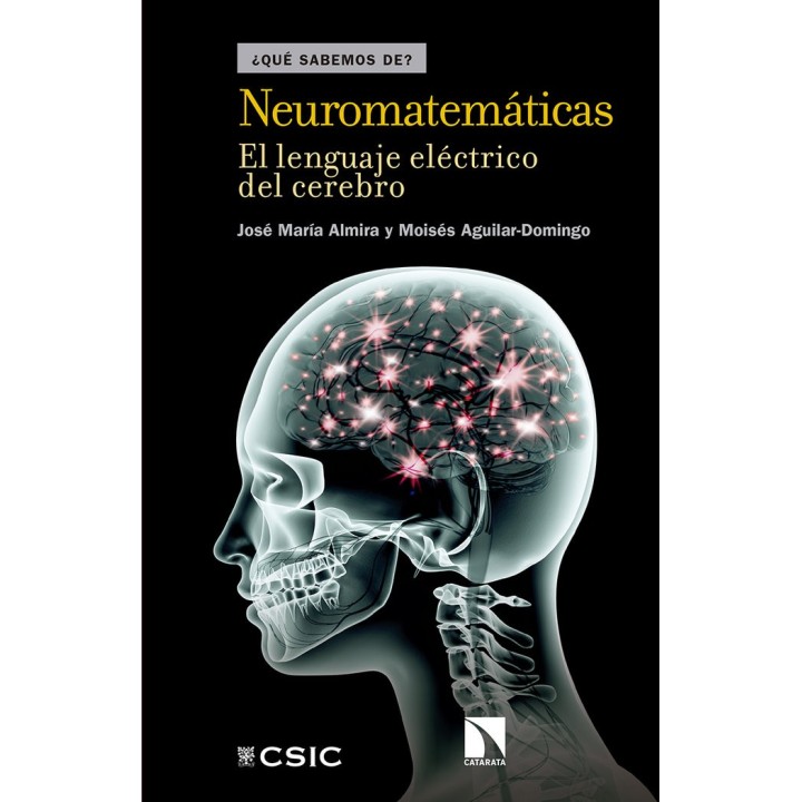 NEUROMATEMATICAS