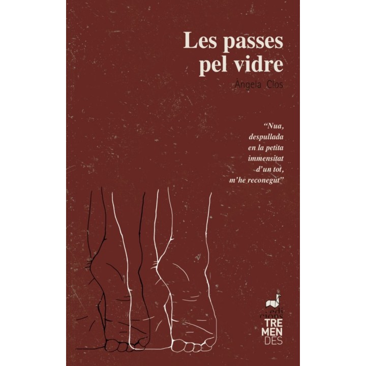 LES PASSES PEL VIDRE