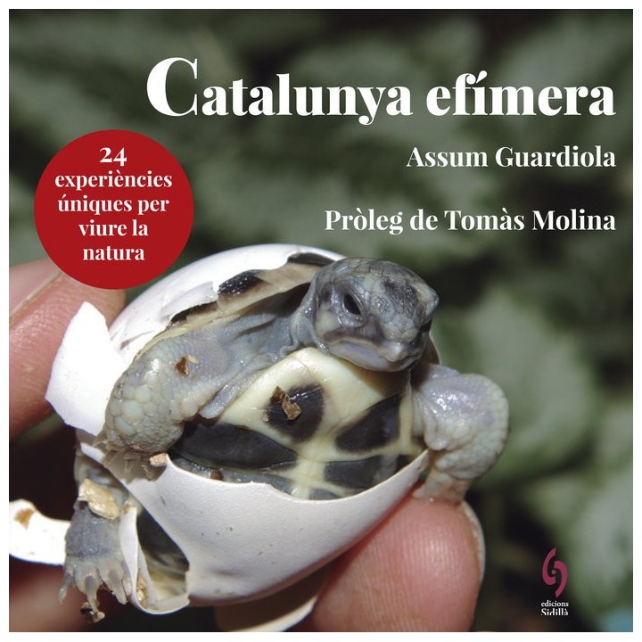 CATALUNYA EFIMERA,LA