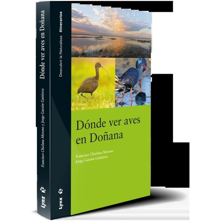 DONDE VER AVES EN DOÑANA