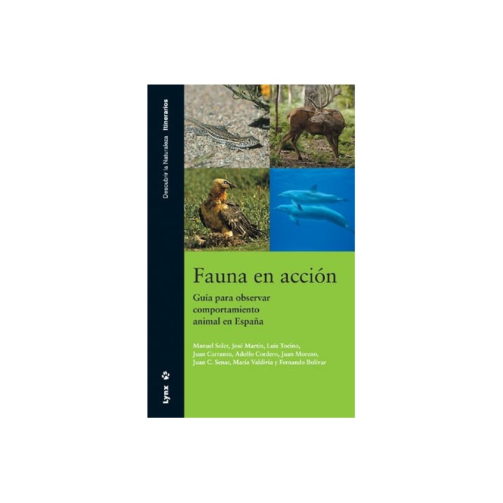 FAUNA EN ACCION