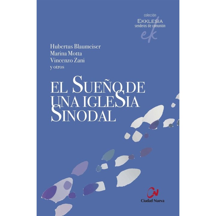 EL SUEÑO DE UNA IGLESIA SINODAL