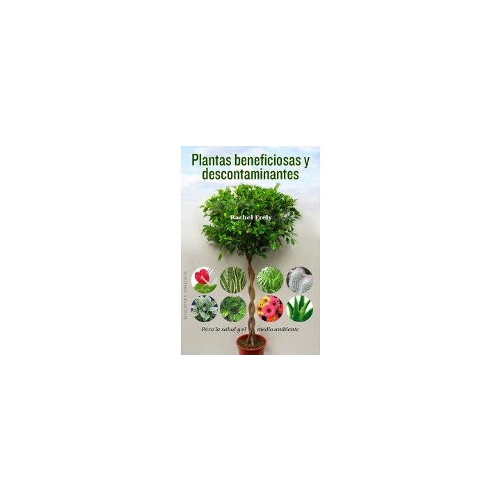 PLANTAS BENEFICIOSAS Y DESCONTAMINANTES